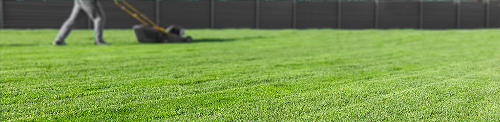 Why You Should Fertilize Your Lawn This Fall