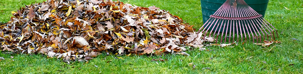 Fall Lawn Recovery