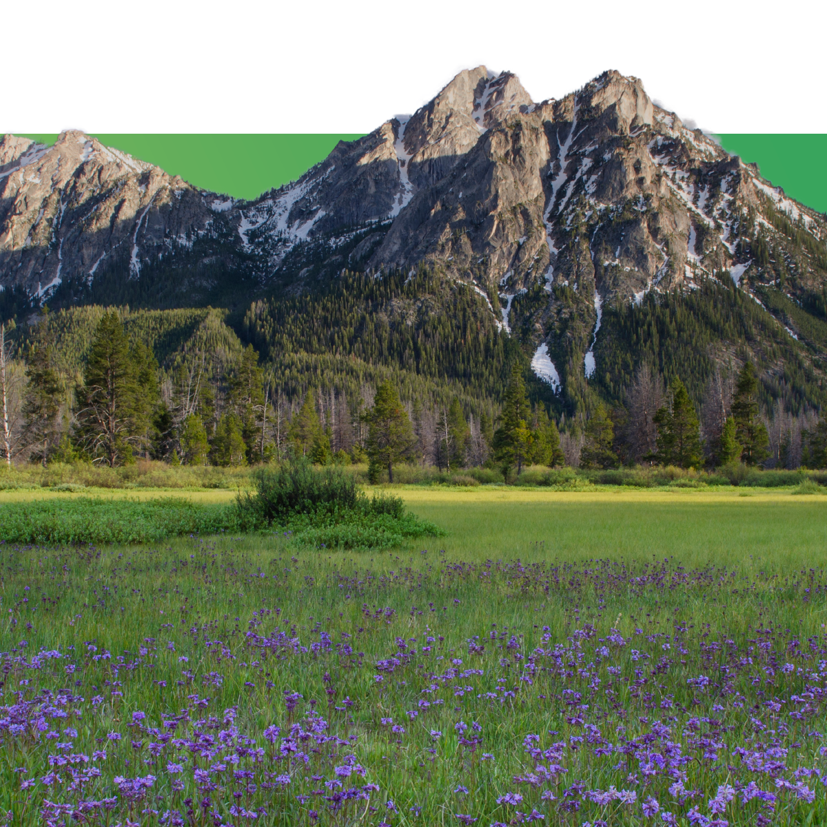 The Treasure Valley Collection | Zamzows – Zamzows store