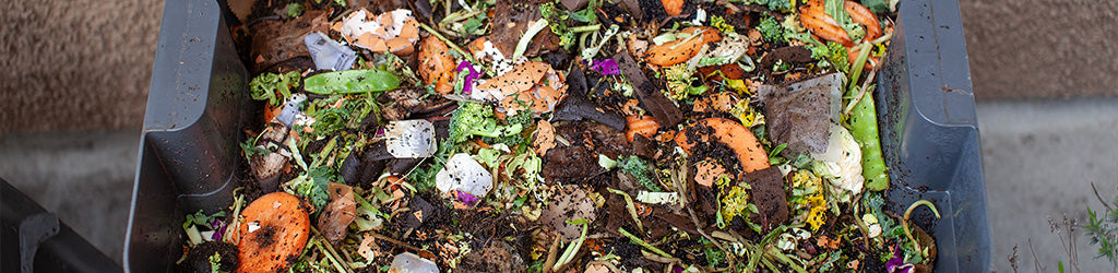 Getting Started With Worm Composting
