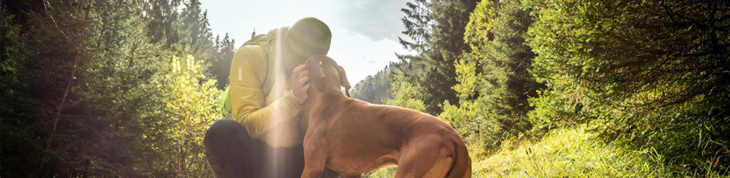 Get Ready to Hike & Camp With Your Dog