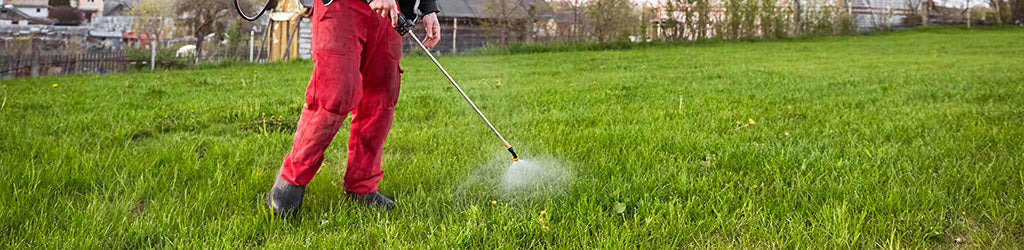 The Best time to Control Weeds: Fall