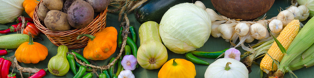 Preparing Your Garden For Fall