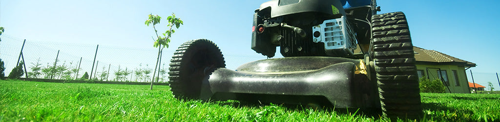 Proper Mowing Height.