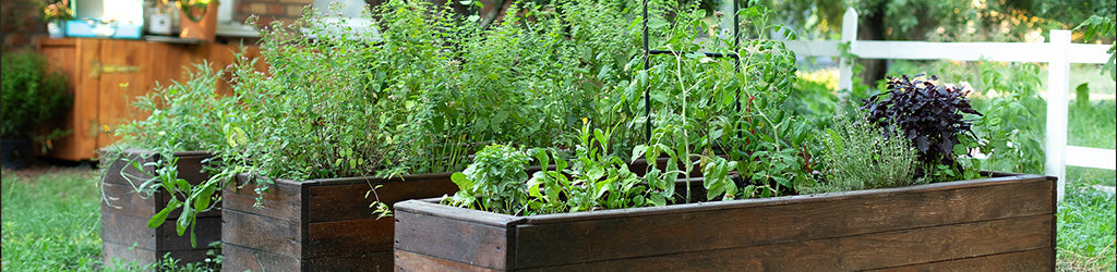 Advantages of Raised Garden Beds