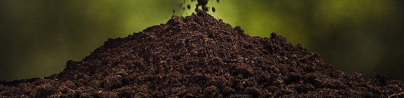 Building a Healthier Soil in Idaho