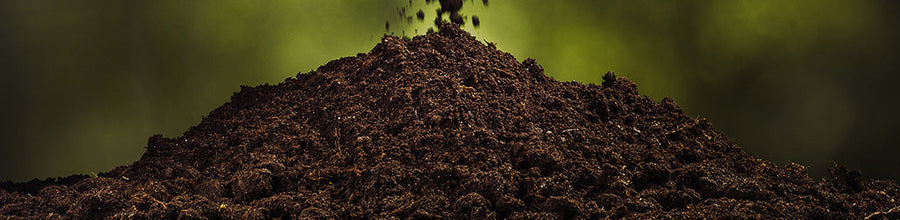 Building a Healthier Soil in Idaho
