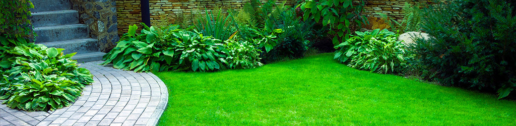 Preparing Your Lawn and Garden For Summer
