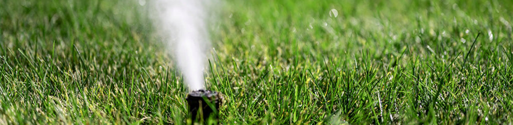 Watering Properly to Save Your Lawn From Drought