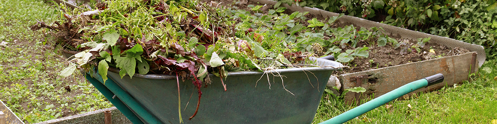 Preparing your Idaho garden for Winter