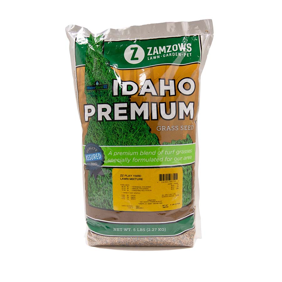 Zamzows Play Yard Lawn Mix 5 LB