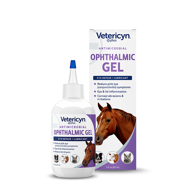 Drop Vet Gel Best Artificial Tears For Dogs Itchy Eyes Dog Eye
