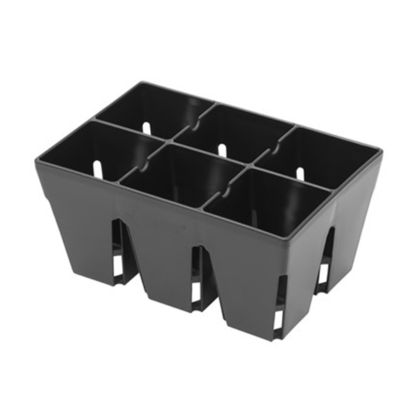 Sunpack 6 Cell Mega Square Insert (Pallet of 50) - Image 2