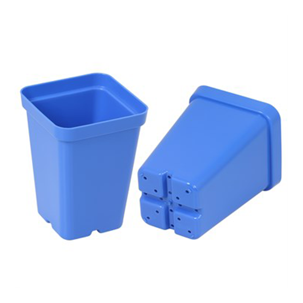 Sunpack 2.5" Square Pot, Blue - Image 2