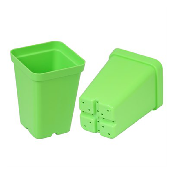 Sunpack 2.5" Square Pot, Green - Image 2