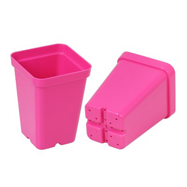 Sunpack 2.5" Square Pot, Magenta - Image 2