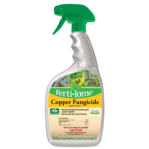fungicide for zz plant Fertilome Copper Soap Fungicide Ready to Use 32 OZ – Zamzows store