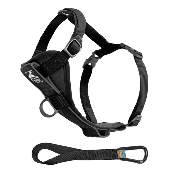 NEIGHBORHOOD DOG HARNESS グレー NEIGHBORHOOD DOG HARNESS グレー