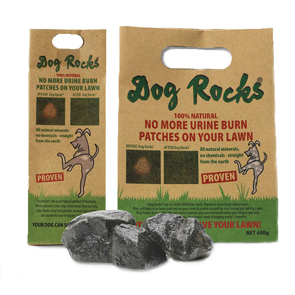 Dog Rocks