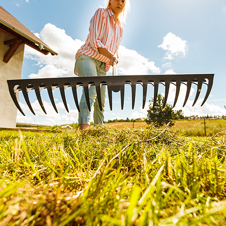 Fall Lawn Repair – Zamzows store