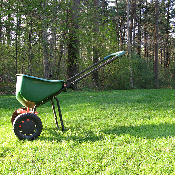 Billbug and Chinch Bug Application Info – Zamzows store