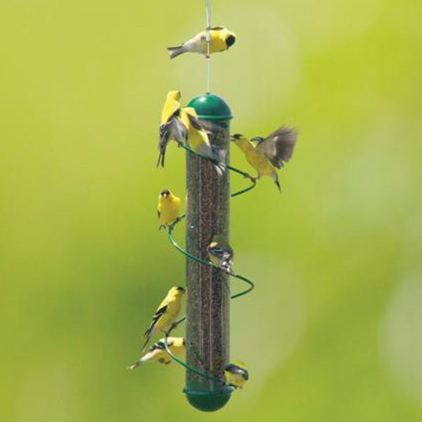 Songbird Essentials Finch Feeder Spiral Green 17 IN