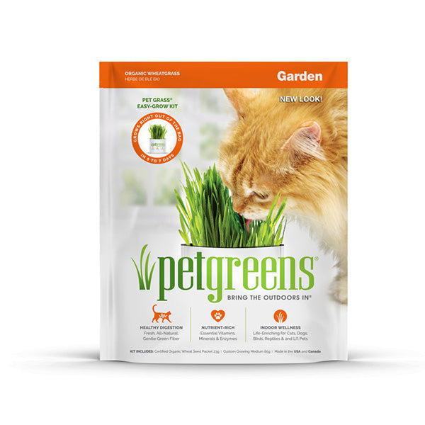 Pet Greens Garden Pet Grass Self-Grow Kit