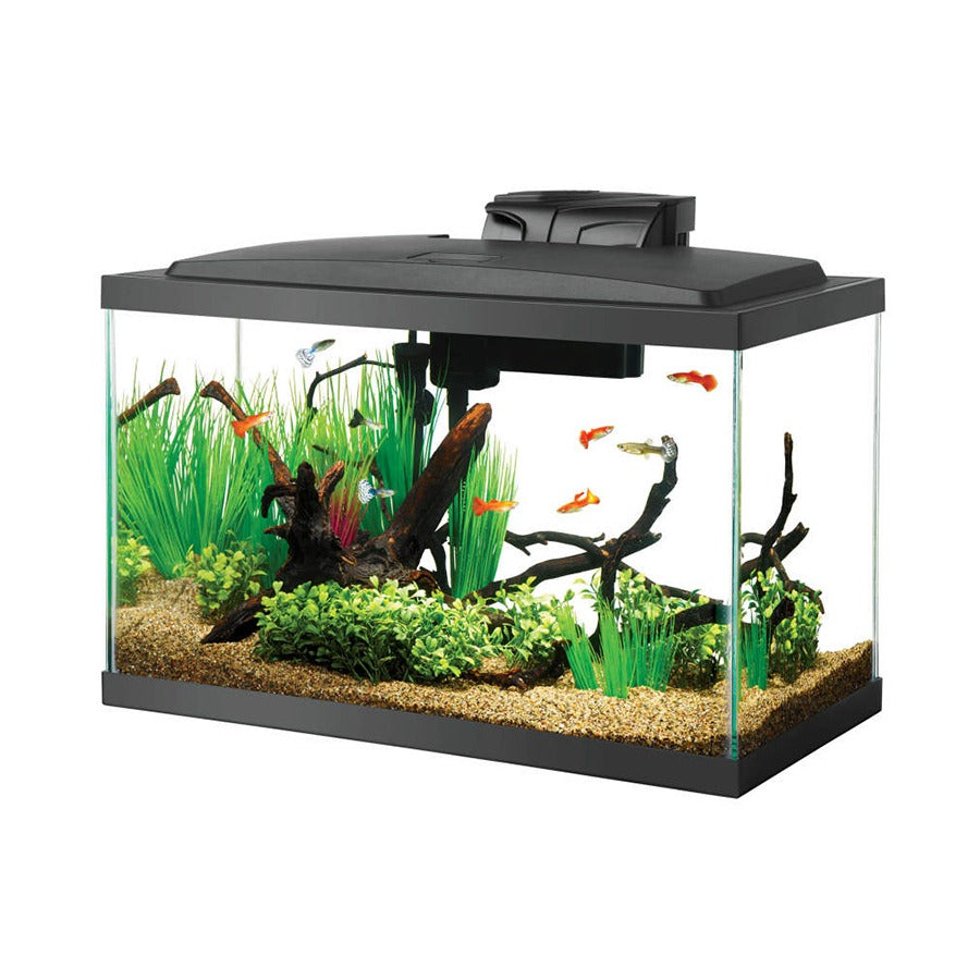 Aqueon Aquarium Starter Kit with LED Lighting, 5.5 Gallon