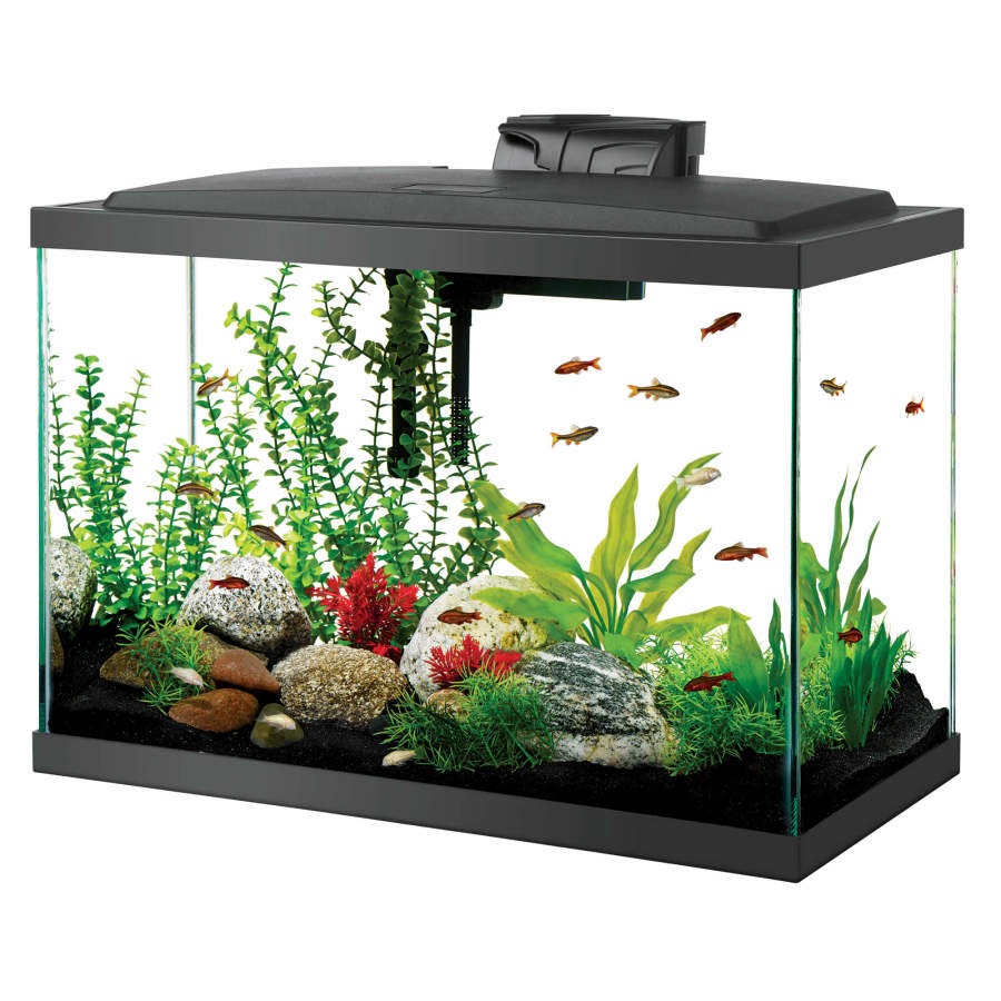 10 Gallon Fish TANK HOOD with LED Light Aquarium Cover with Easy Access  Cutouts