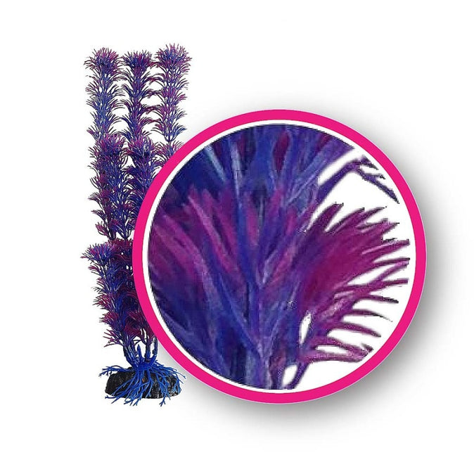 Weco Plant Dream Series Fuschia Fern 6 IN