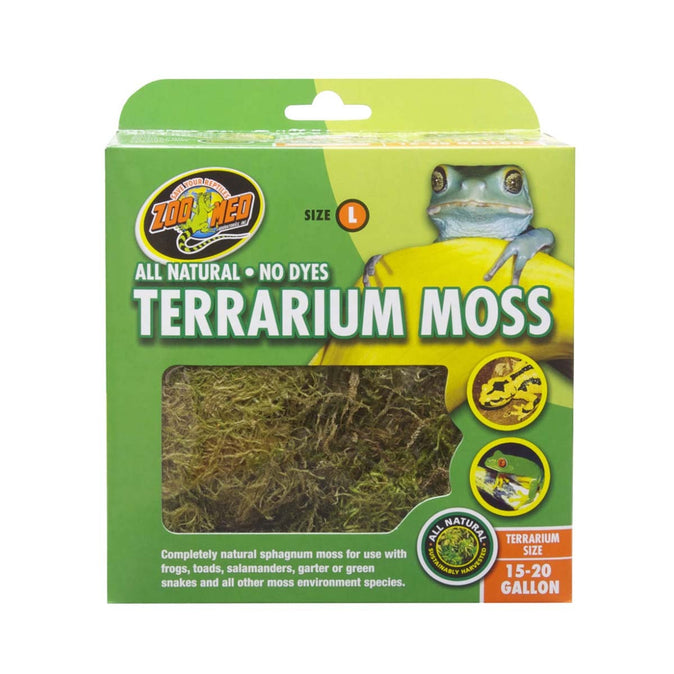 Yet Another Moss Terrarium