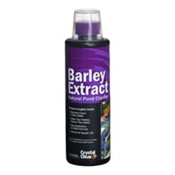 Barley Extract 16 OZ