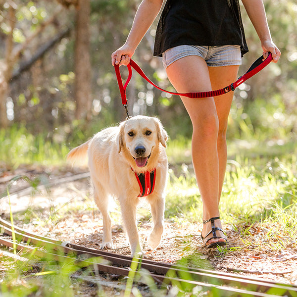 Ezydog Chest Plate Harness Red SM