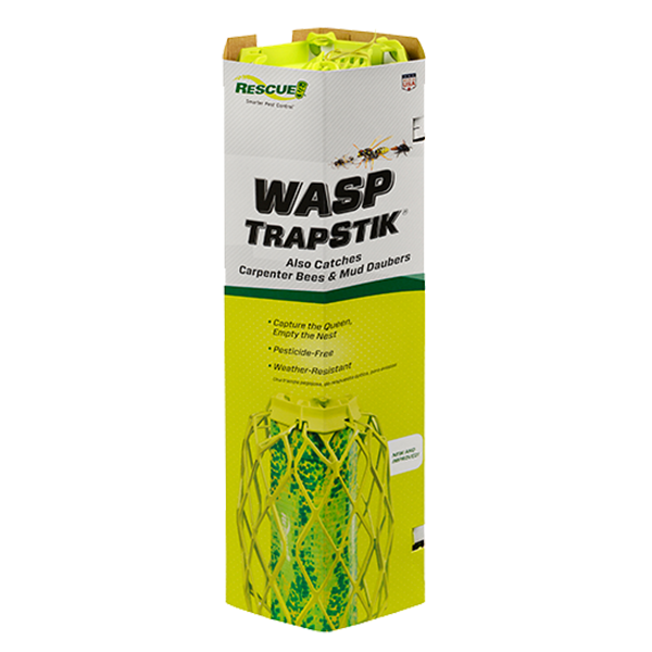 Trapstik for Wasp