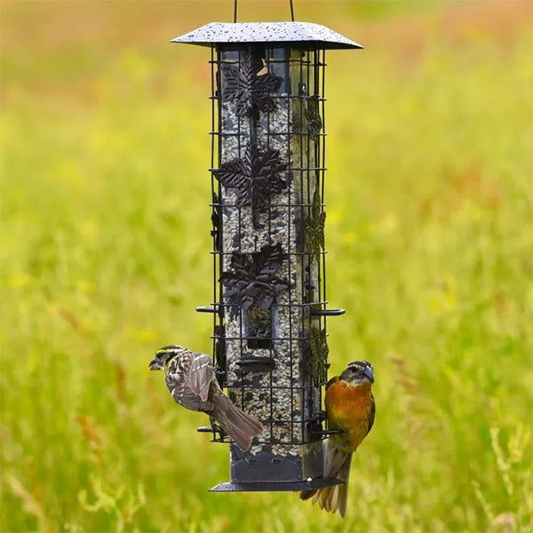 Squirrel Be Gone 2 Feeder