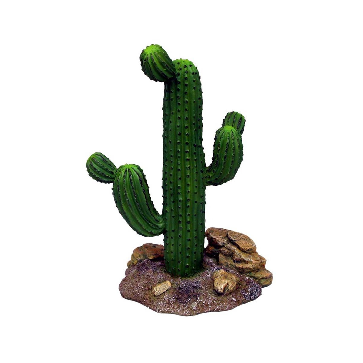 Wecorama Badlands Saguaro Cactus Brown 9 IN